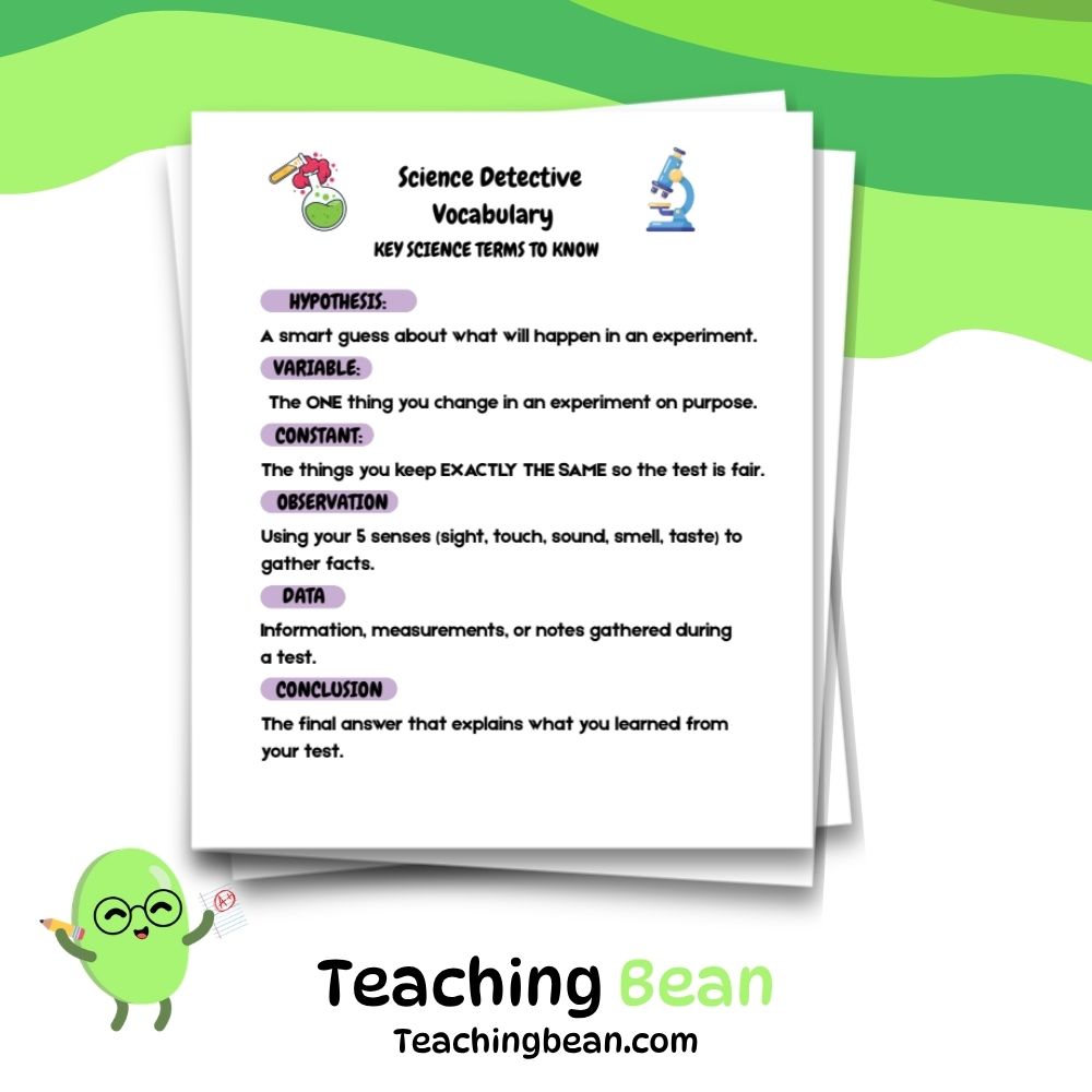 Scientific Method Worksheets